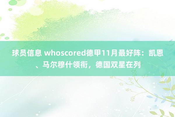 球员信息 whoscored德甲11月最好阵：凯恩、马尔穆什领衔，德国双星在列