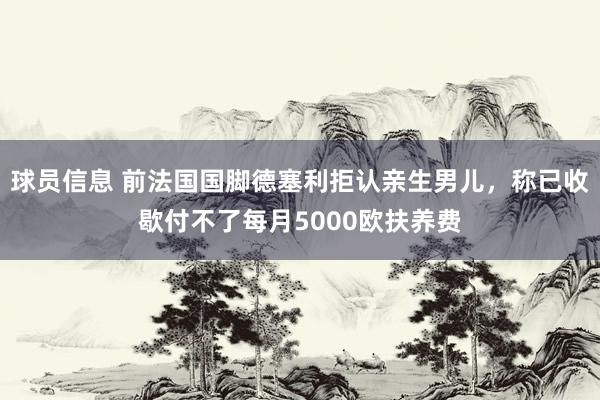 球员信息 前法国国脚德塞利拒认亲生男儿，称已收歇付不了每月5000欧扶养费