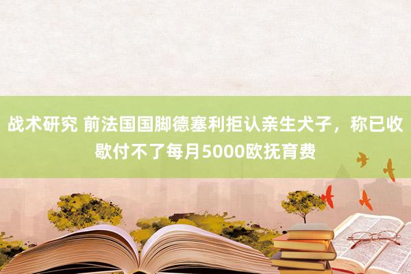 战术研究 前法国国脚德塞利拒认亲生犬子，称已收歇付不了每月5000欧抚育费