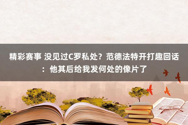 精彩赛事 没见过C罗私处？范德法特开打趣回话：他其后给我发何处的像片了