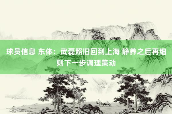 球员信息 东体：武磊照旧回到上海 静养之后再细则下一步调理策动