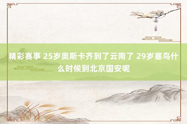 精彩赛事 25岁奥斯卡齐到了云南了 29岁塞鸟什么时候到北京国安呢