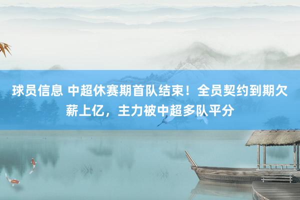 球员信息 中超休赛期首队结束！全员契约到期欠薪上亿，主力被中超多队平分